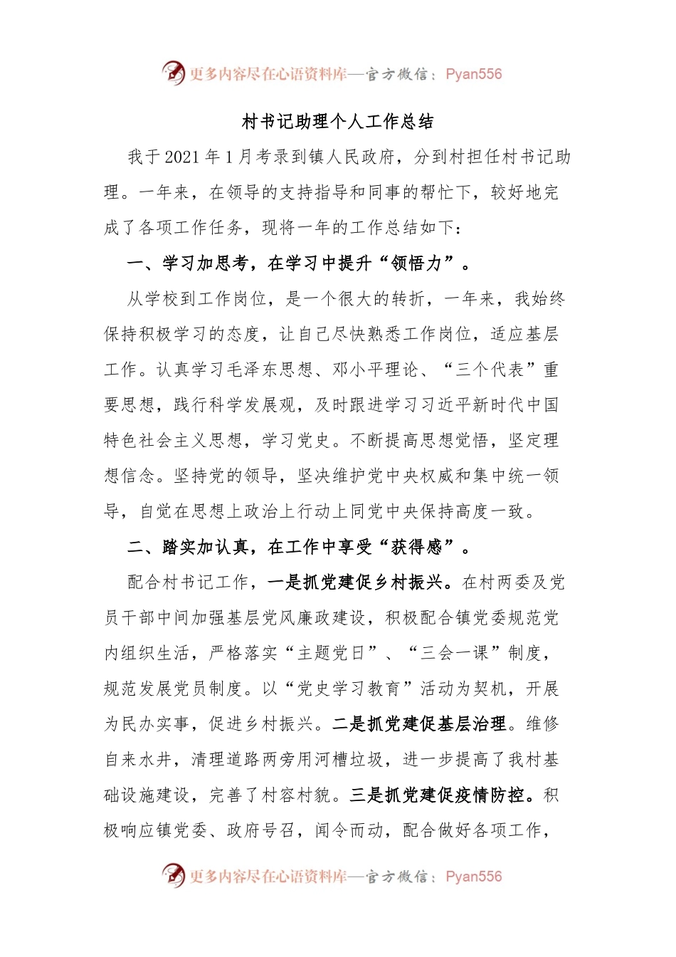 村书记助理个人工作总结.docx_第1页