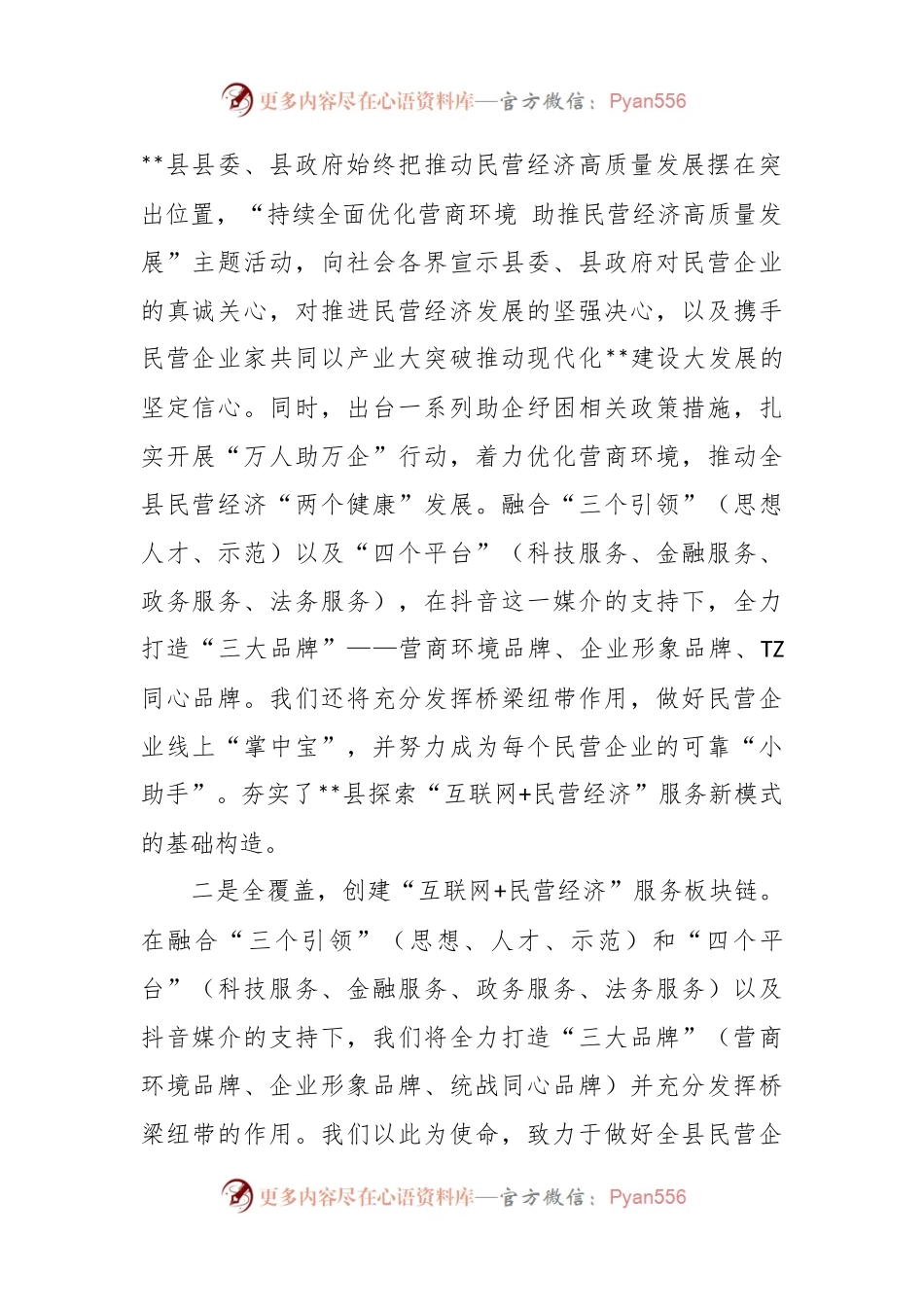 汇报材料：“互联网+民营经济”服务新模式助力民营经济高质量发展.docx_第2页