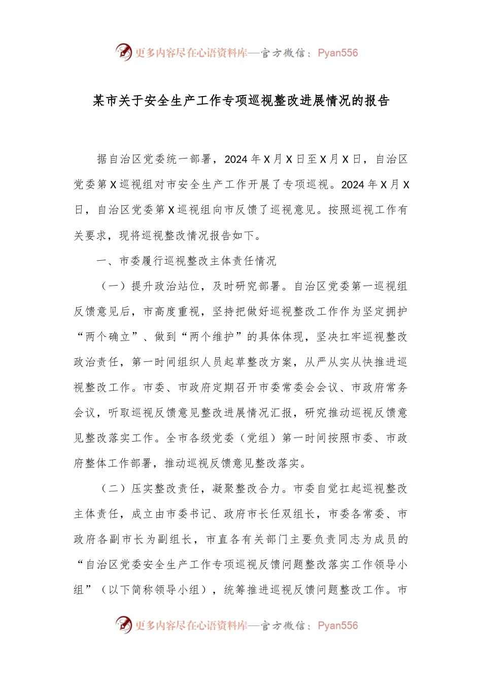 某市关于安全生产工作专项巡视整改进展情况的报告.docx_第1页