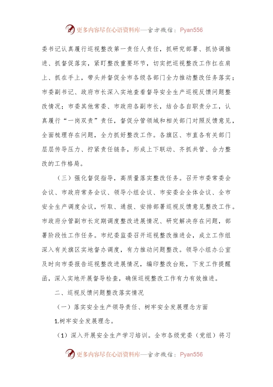 某市关于安全生产工作专项巡视整改进展情况的报告.docx_第2页