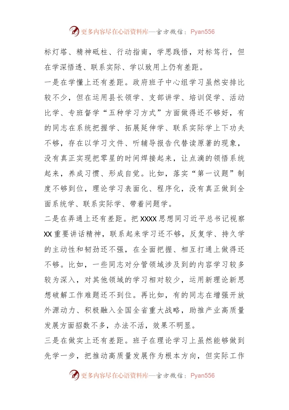 某县政府领导班子2023年度专题民主生活会对照检查材料.docx_第2页
