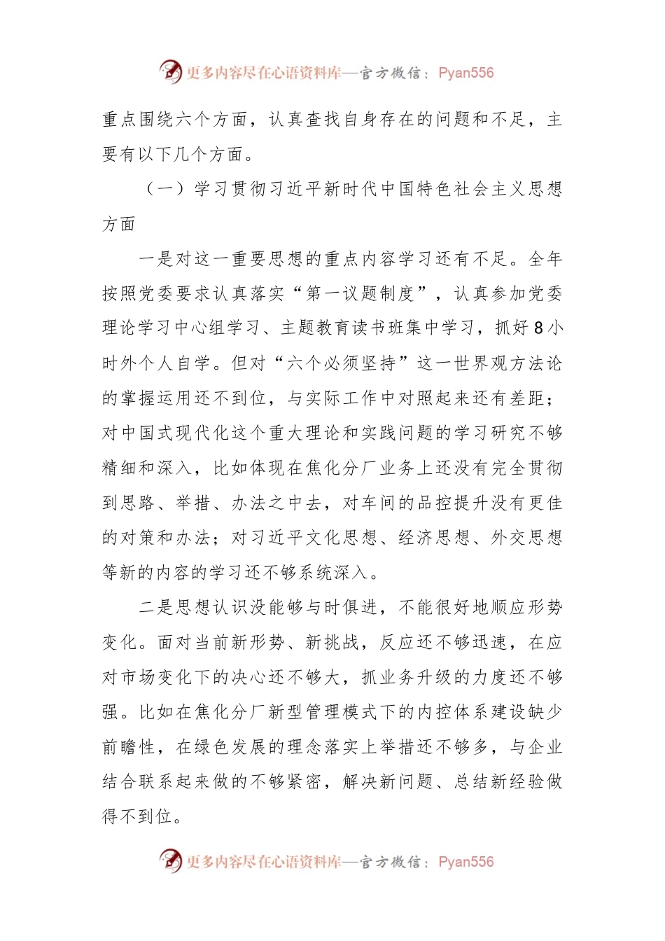 某国企公司党委书记2023年主题教育专题民主生活会个人对照检查材料（新六个方面、意识形态、安全生产隐患排查整治和汲取安全生产事故教训）.docx_第2页