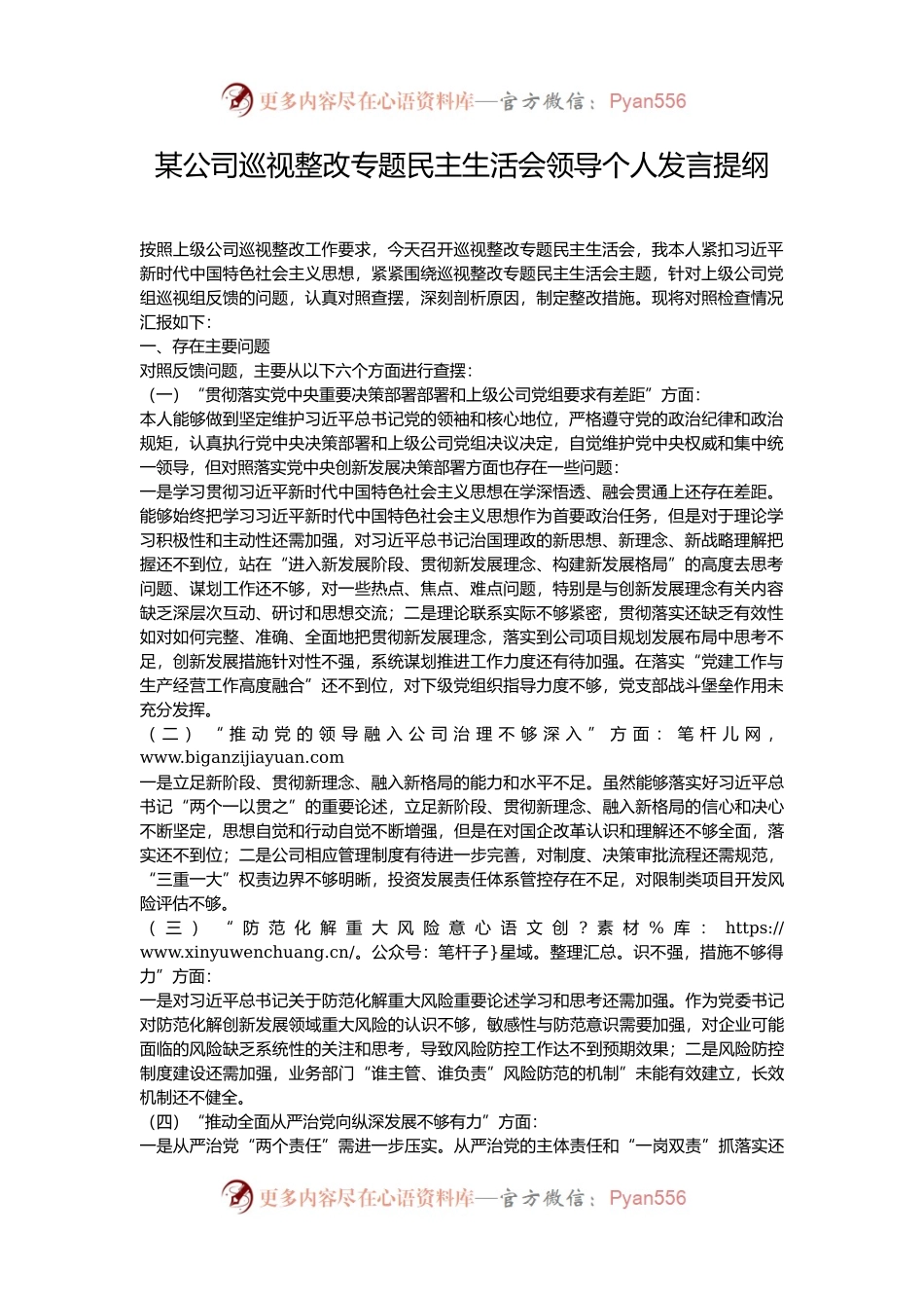 某公司巡视整改专题民主生活会领导个人发言提纲.docx_第1页