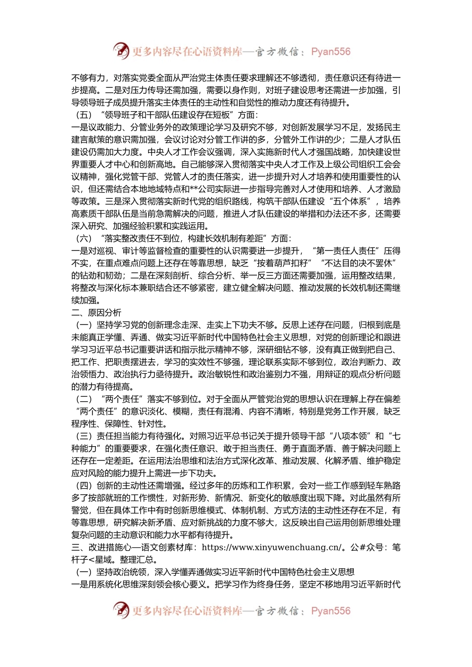 某公司巡视整改专题民主生活会领导个人发言提纲.docx_第2页