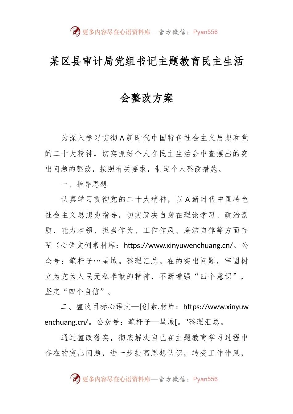 某区县审计局党组书记主题教育民主生活会整改方案.docx_第1页
