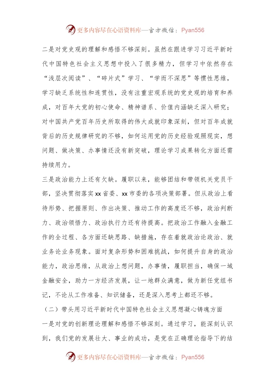 某市金融办党组书记2022年度民主生活会对照检查材料.docx_第2页