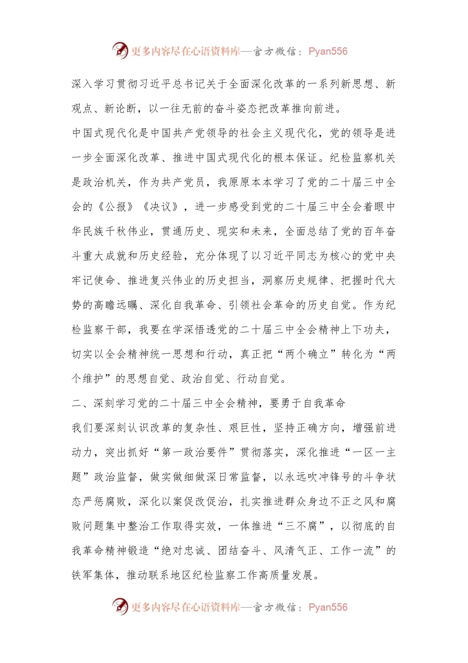 某市级纪检监察机关干部学习二十届三中全会精神学习交流发言.docx_第2页