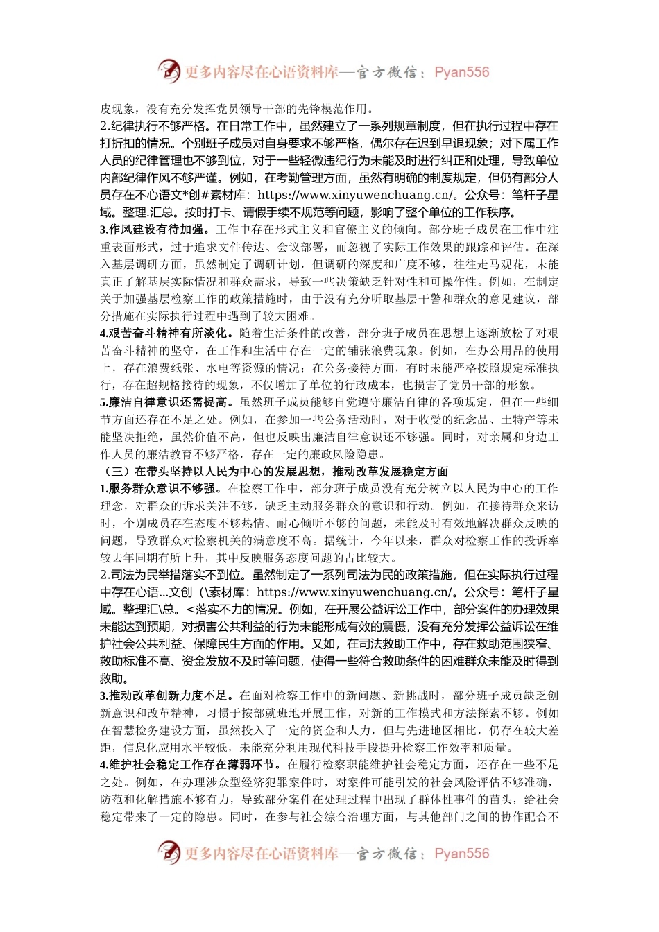 检察院2024 年度民主生活会领导班子对照检视材料（四个带头+典型案例）.docx_第2页