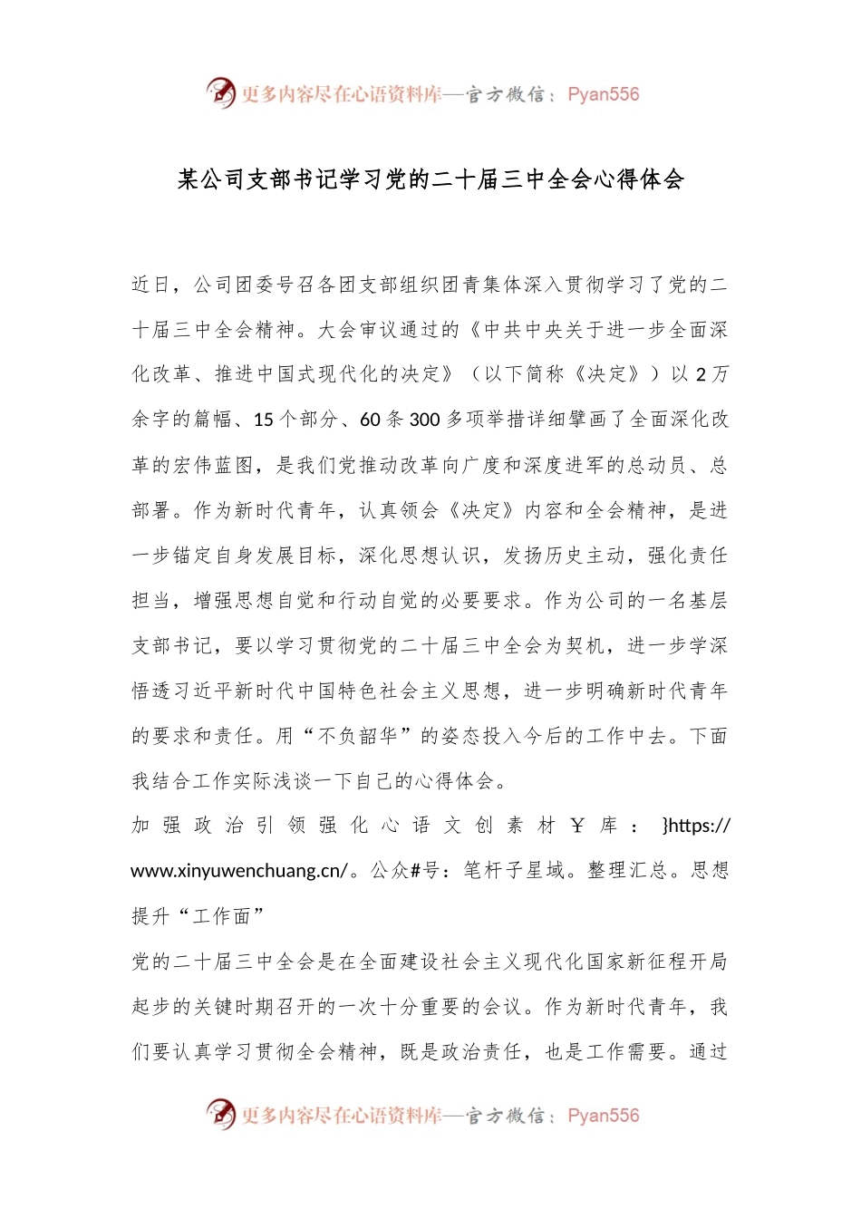 某公司支部书记学习党的二十届三中全会心得体会.docx_第1页