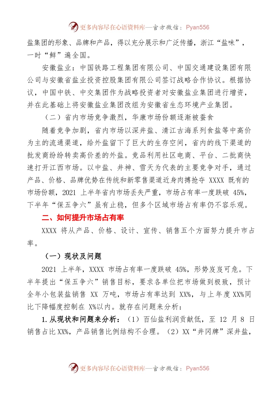 某盐业公司务虚会发言材料.docx_第2页