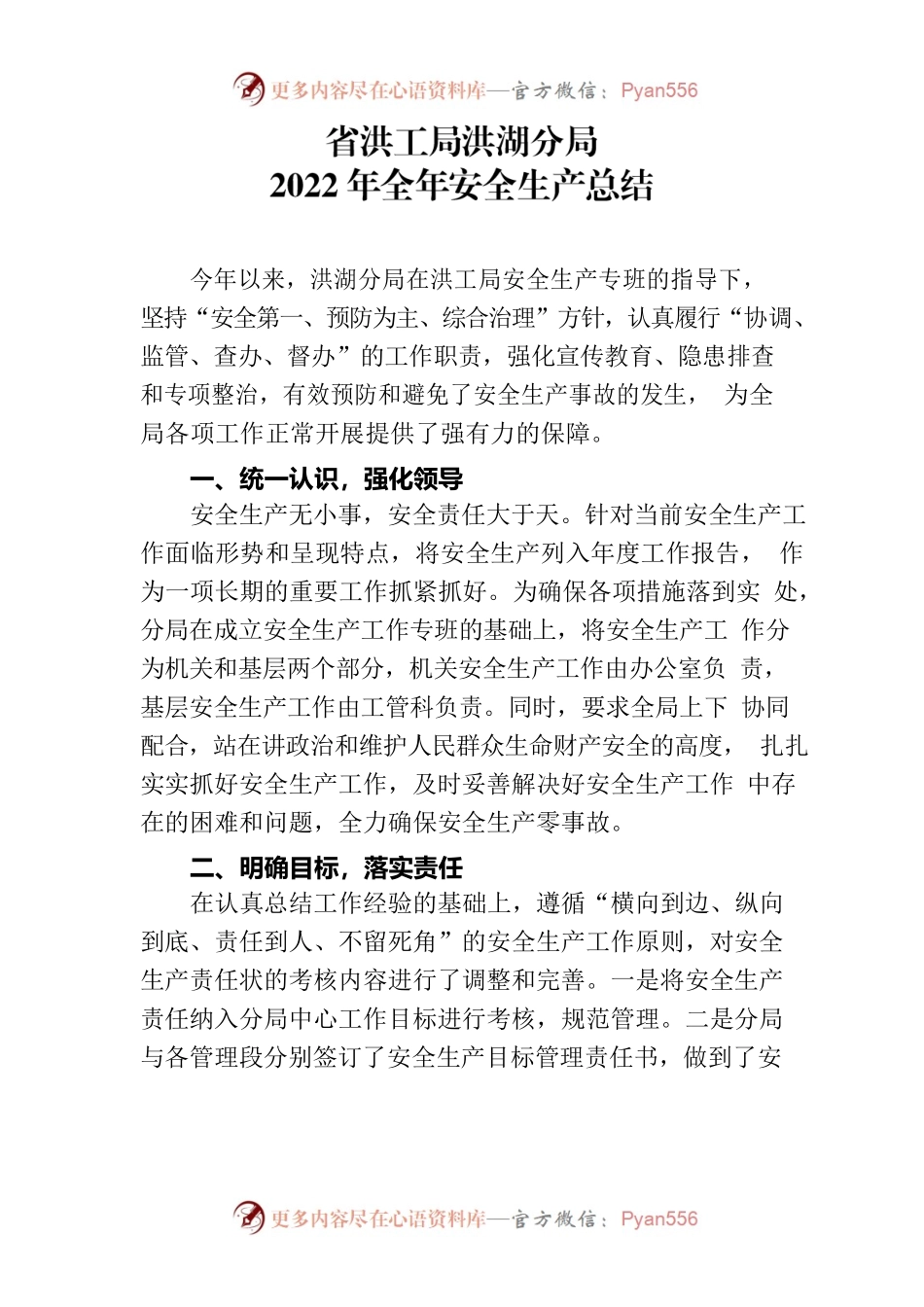 洪湖分局2022年全年安全生产总结.docx_第1页
