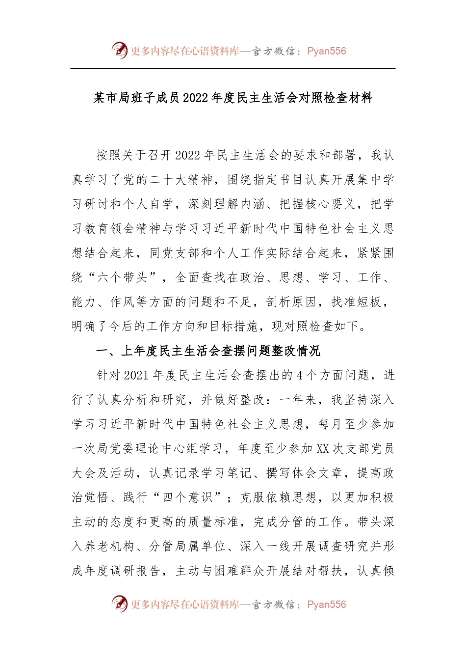 某市局班子成员2022年度民主生活会对照检查材料.docx_第1页