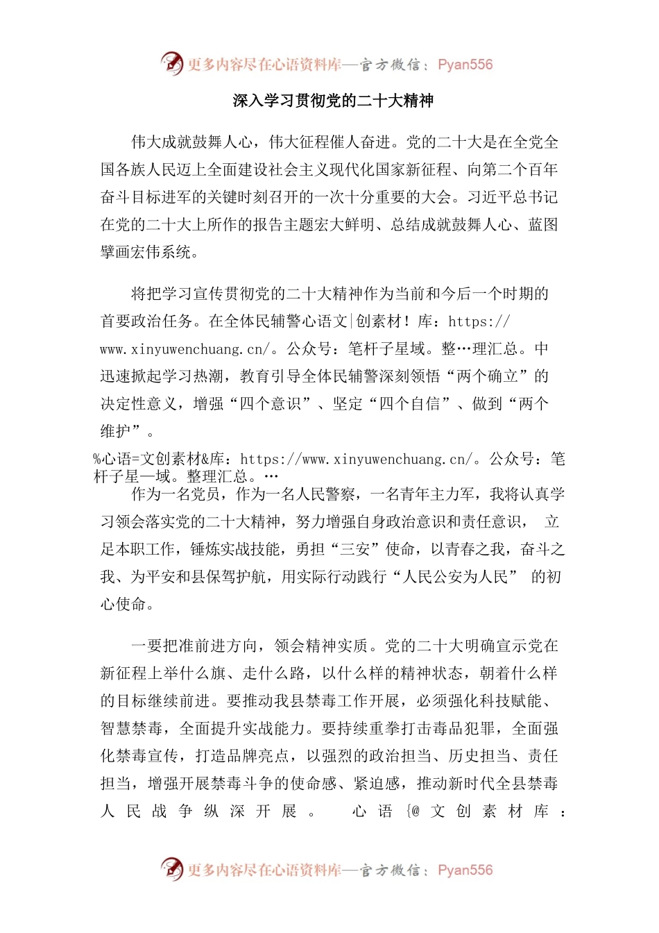 深入学习贯彻党的二十大精神（公安）.docx_第1页