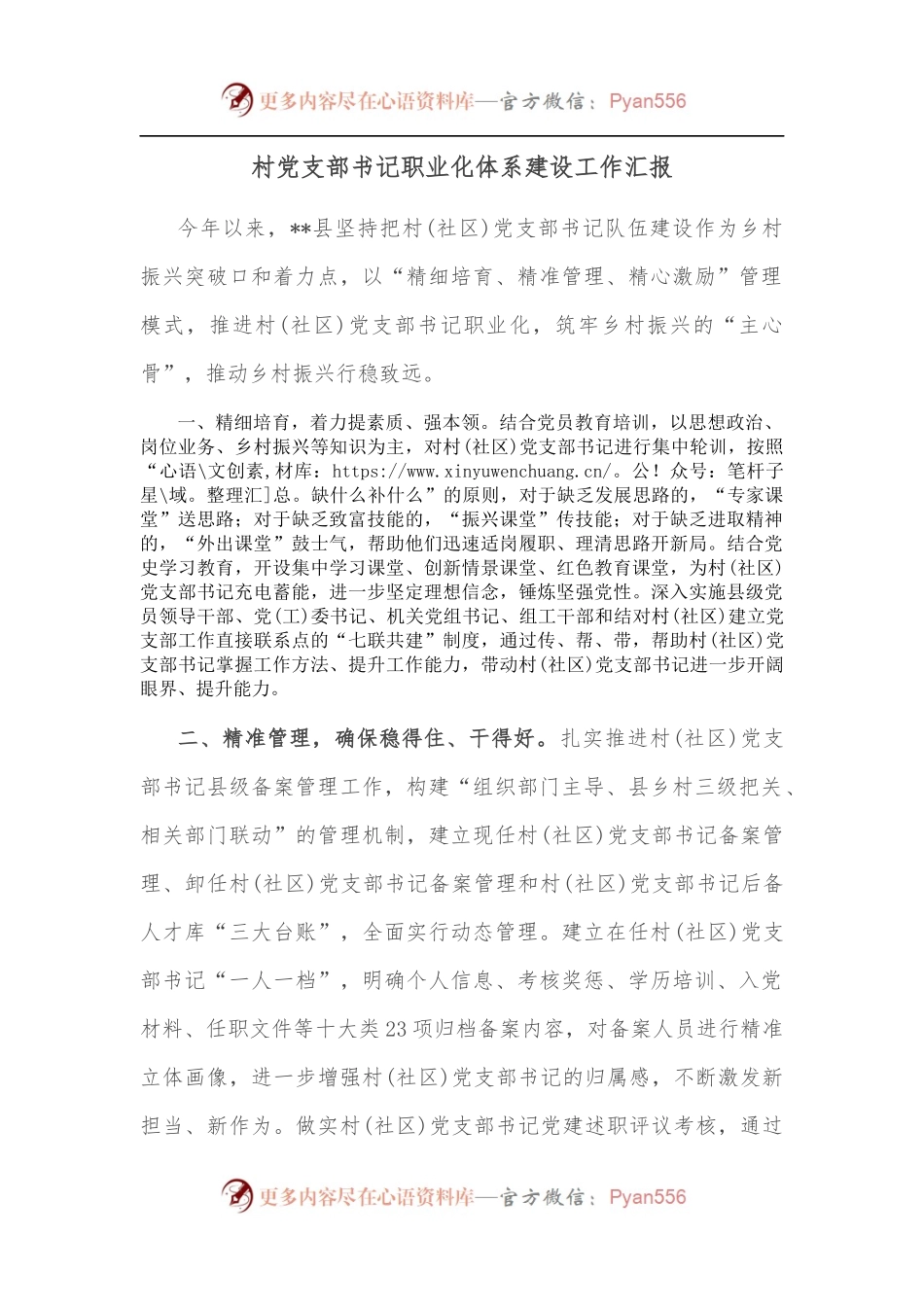 村党支部书记职业化体系建设工作汇报.docx_第1页