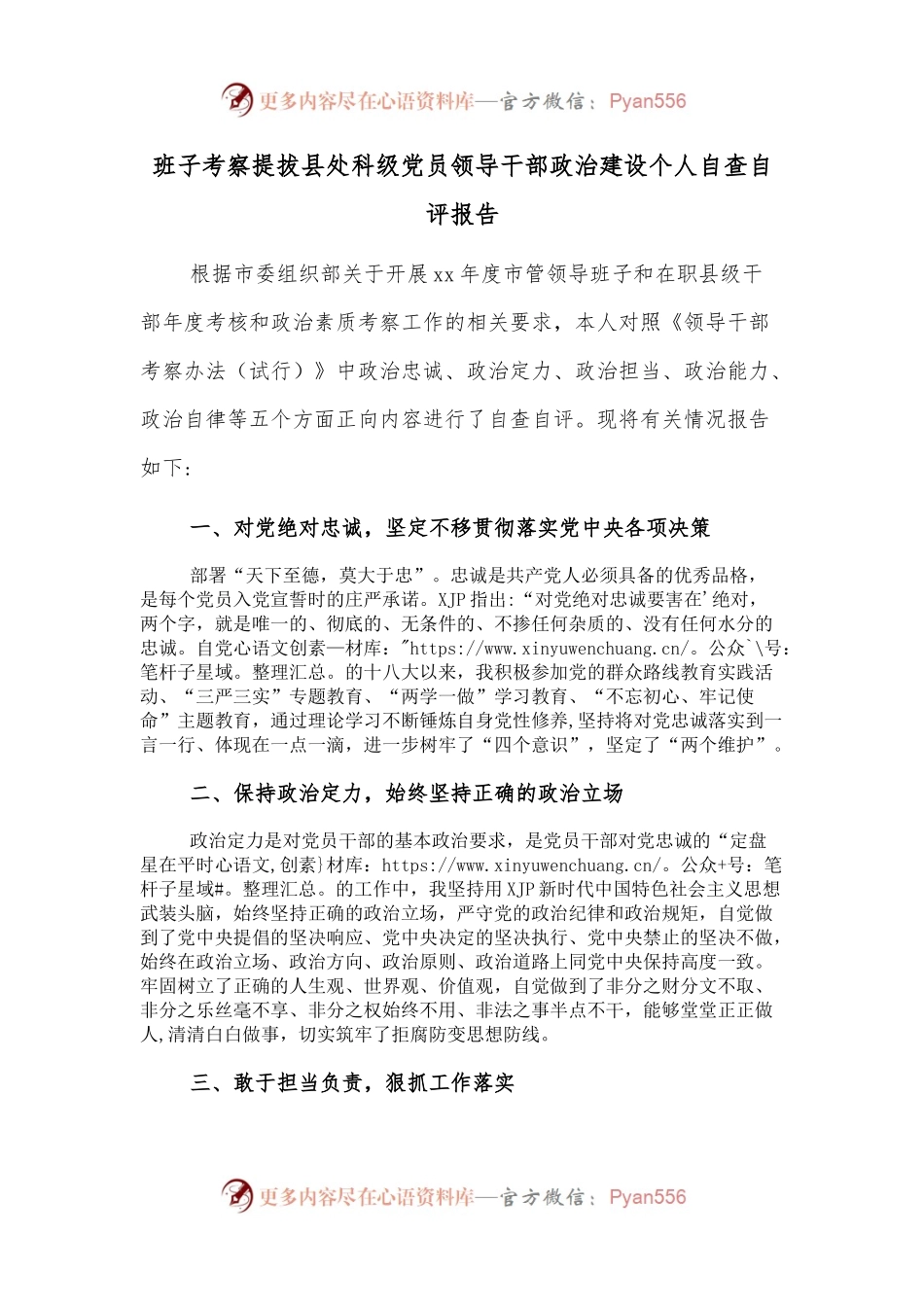 班子考察提拔县处科级党员领导干部政治建设个人自查自评报告.docx_第1页