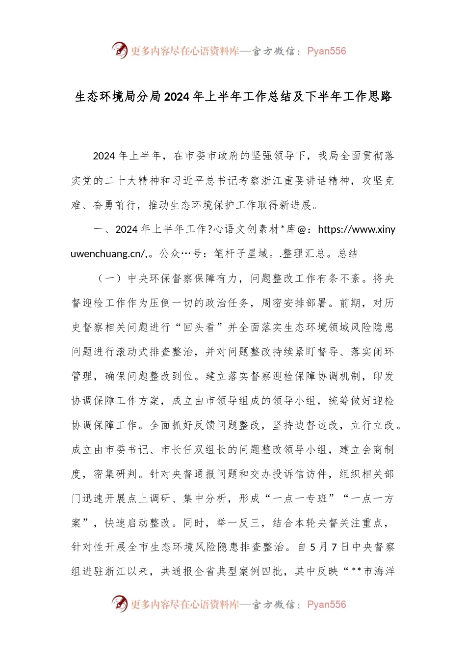 生态环境局分局2024年上半年工作总结及下半年工作思路.docx_第1页
