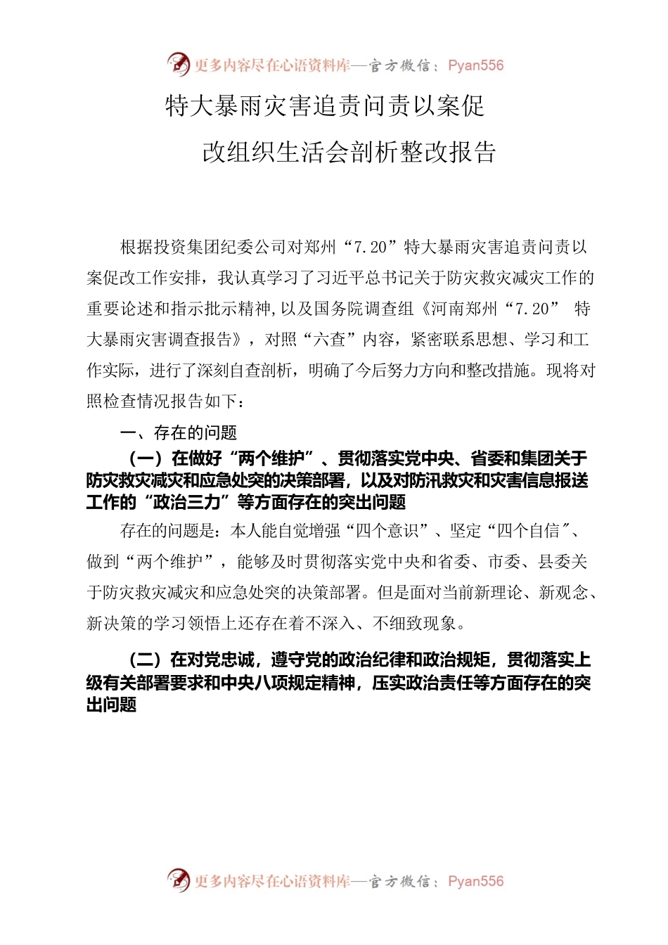 特大暴雨灾害追责问责以案促改组织生活会剖析整改报告.docx_第1页