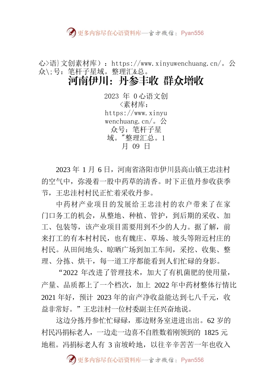 河南伊川：丹参丰收 群众增收.docx_第1页