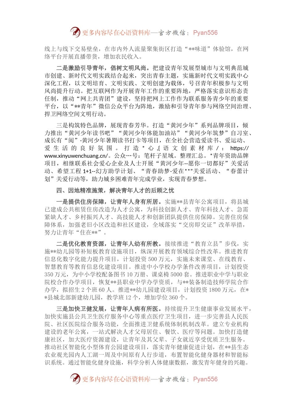 某县青年发展性城市建设总结.docx_第2页