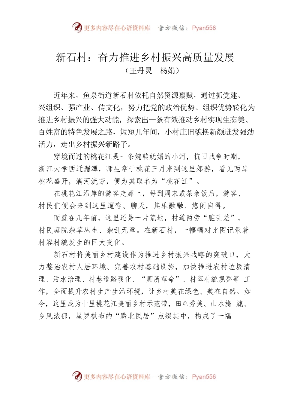 新石村：奋力推进乡村振兴建设高质量发展.docx_第1页