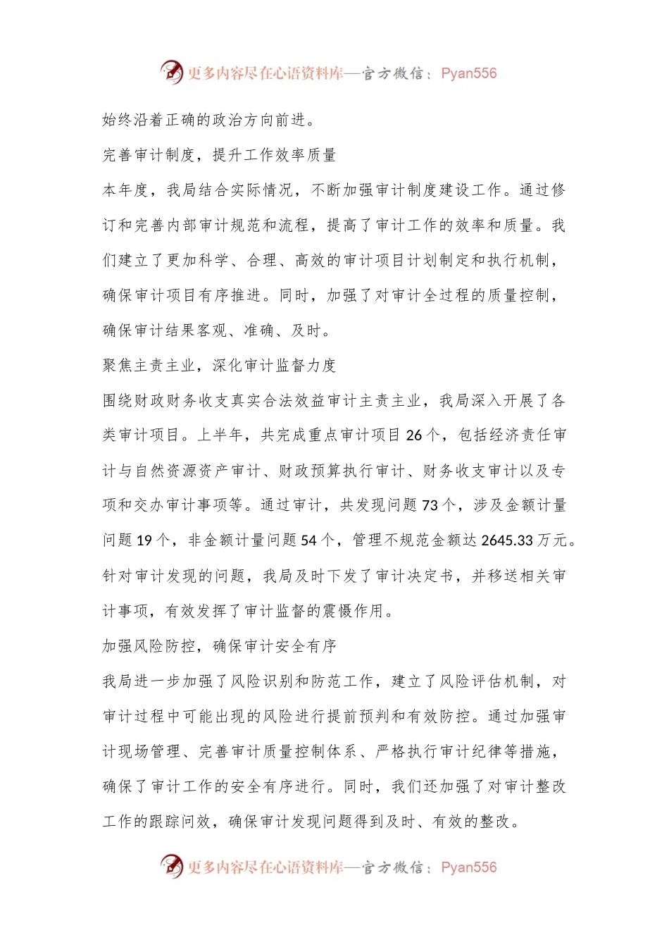 某县审计局2024年工作总结及下半年工作计划.docx_第2页
