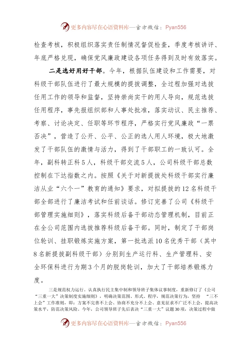 牵牢“牛鼻子，当好责任人—公司落实党风廉政建设责任制工作汇报.docx_第2页