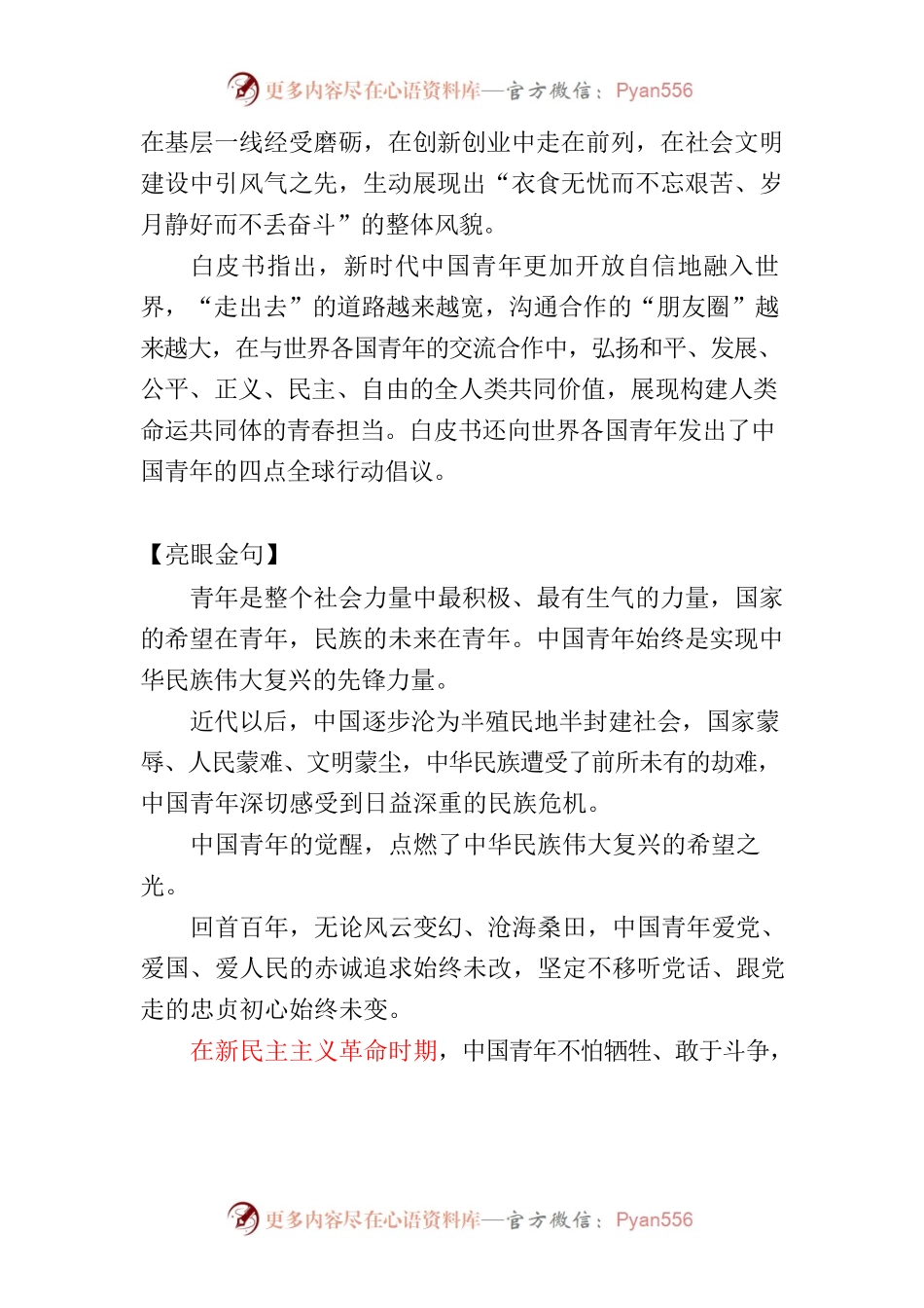 新时代中国青年白皮书（写作素材）.docx_第2页