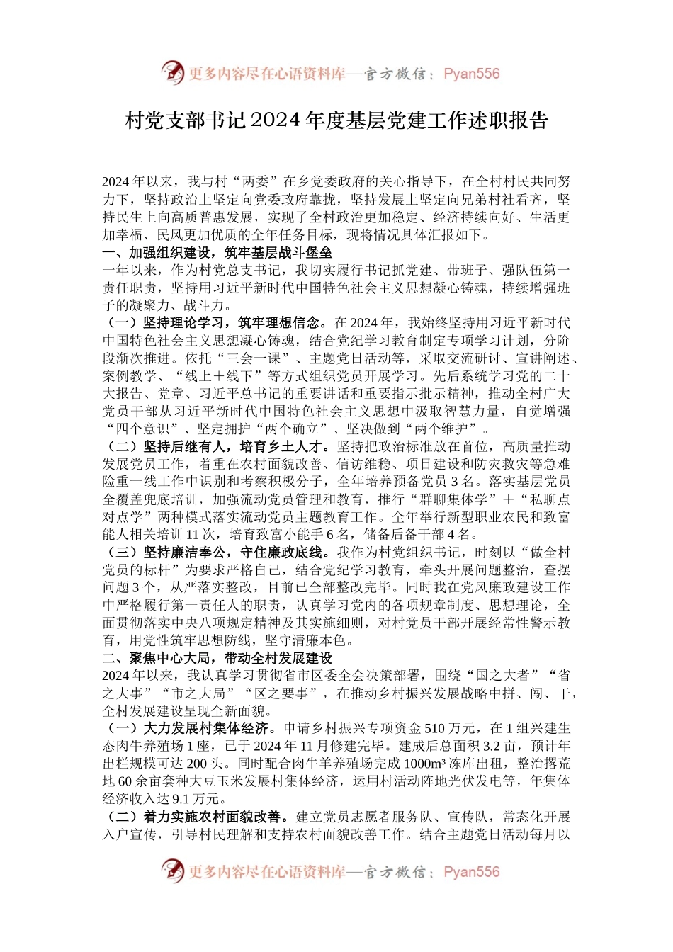 村党支部书记2024年度基层党建工作述职报告.docx_第1页