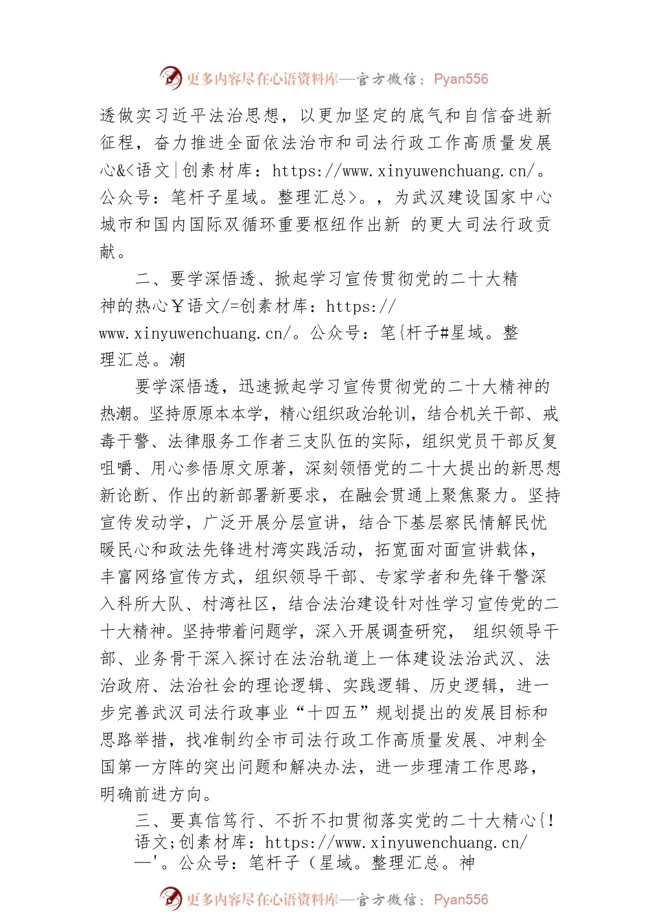 武汉市司法局党委书记：为武汉现代化建设和高质量发展提供有力法治保障、坚决把党的二十大决策部署变为武汉司法行政生动实践（20221125）.docx_第2页