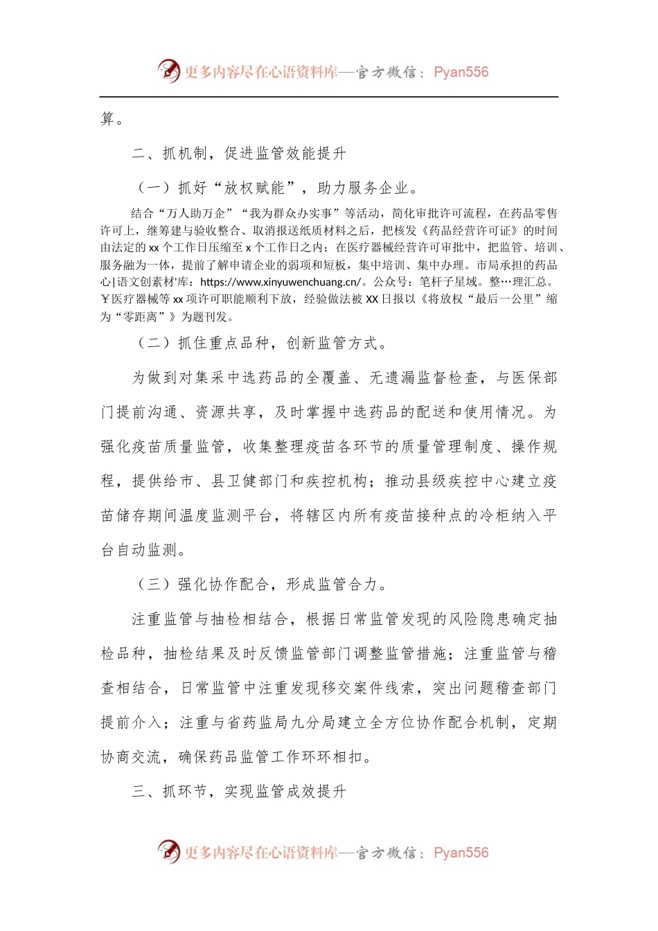 某市药品安全监管工作经验交流发言.docx_第2页