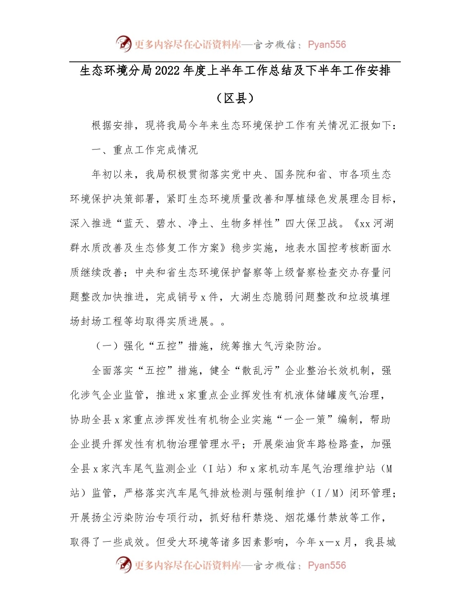 生态环境分局2022年度上半年工作总结及下半年工作安排[区县].docx_第1页