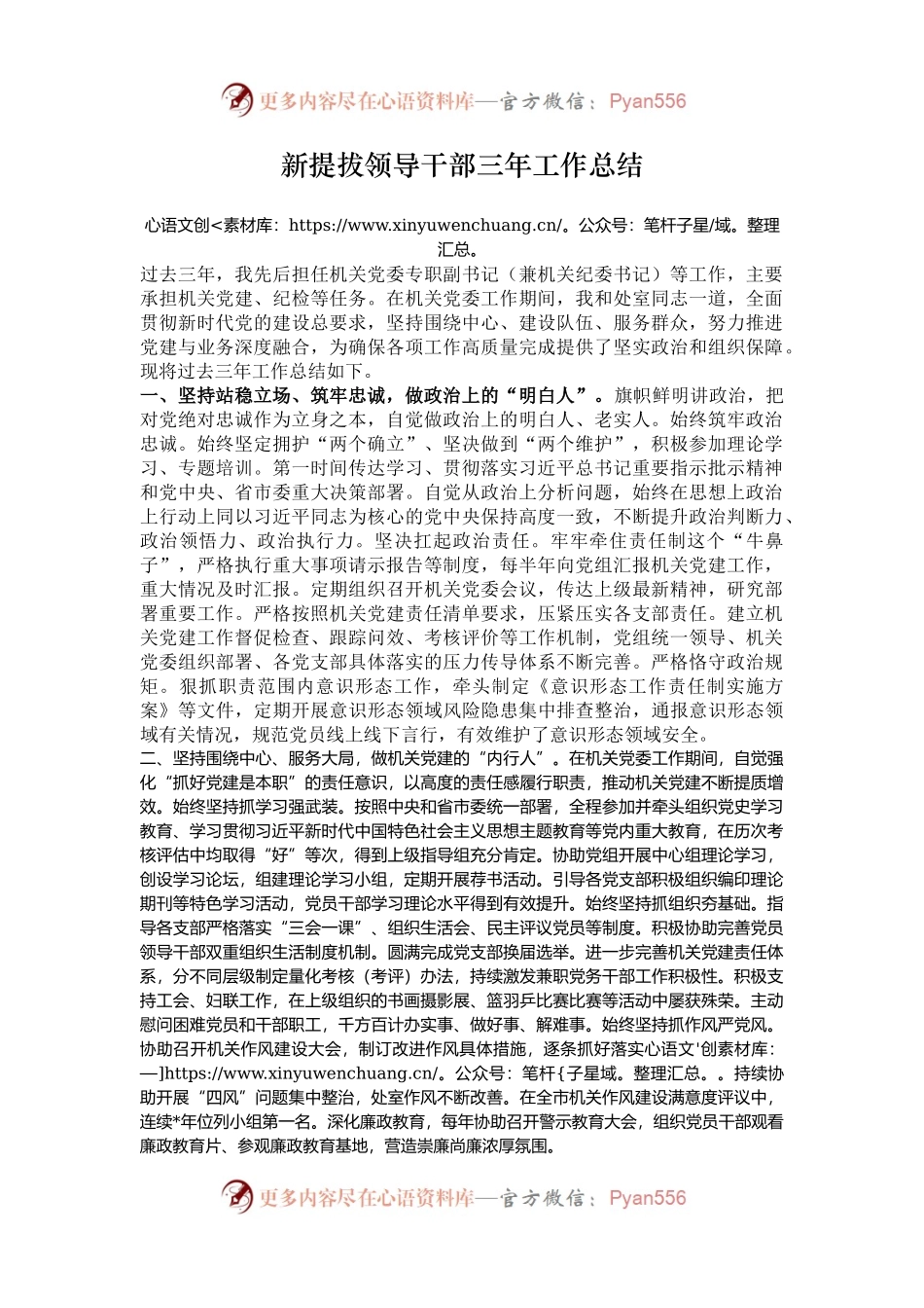新提拔领导干部三年工作总结.docx_第1页
