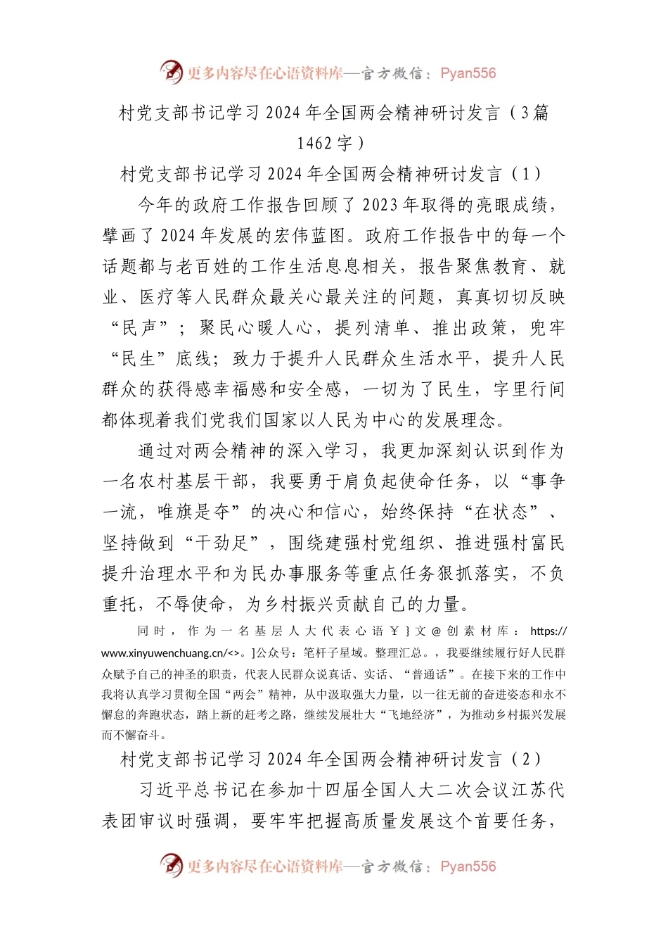 村党支部书记学习2024年全国两会精神研讨发言3篇.docx_第1页