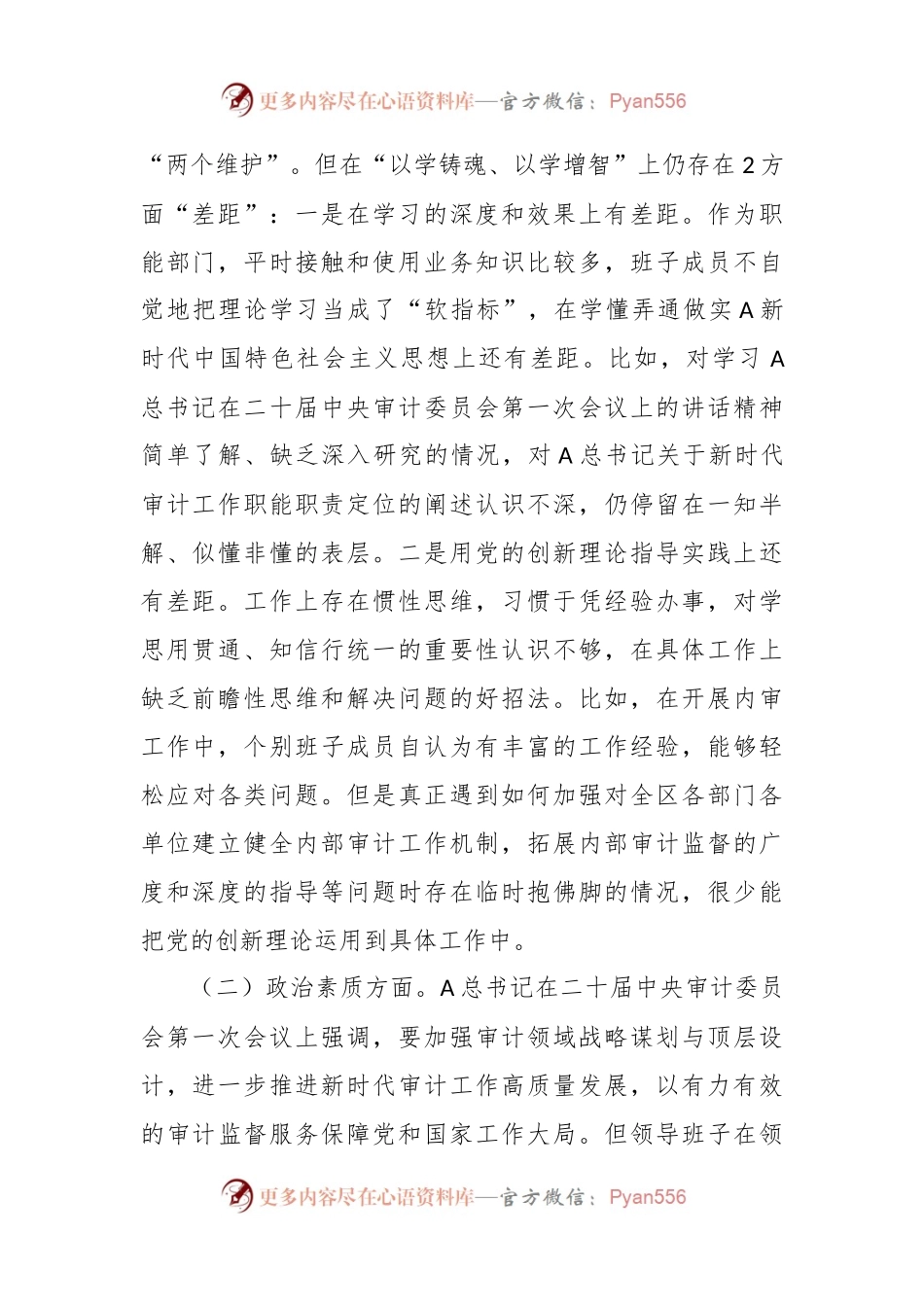 有关审计局党组主题教育民主生活会对照检查材料.docx_第2页