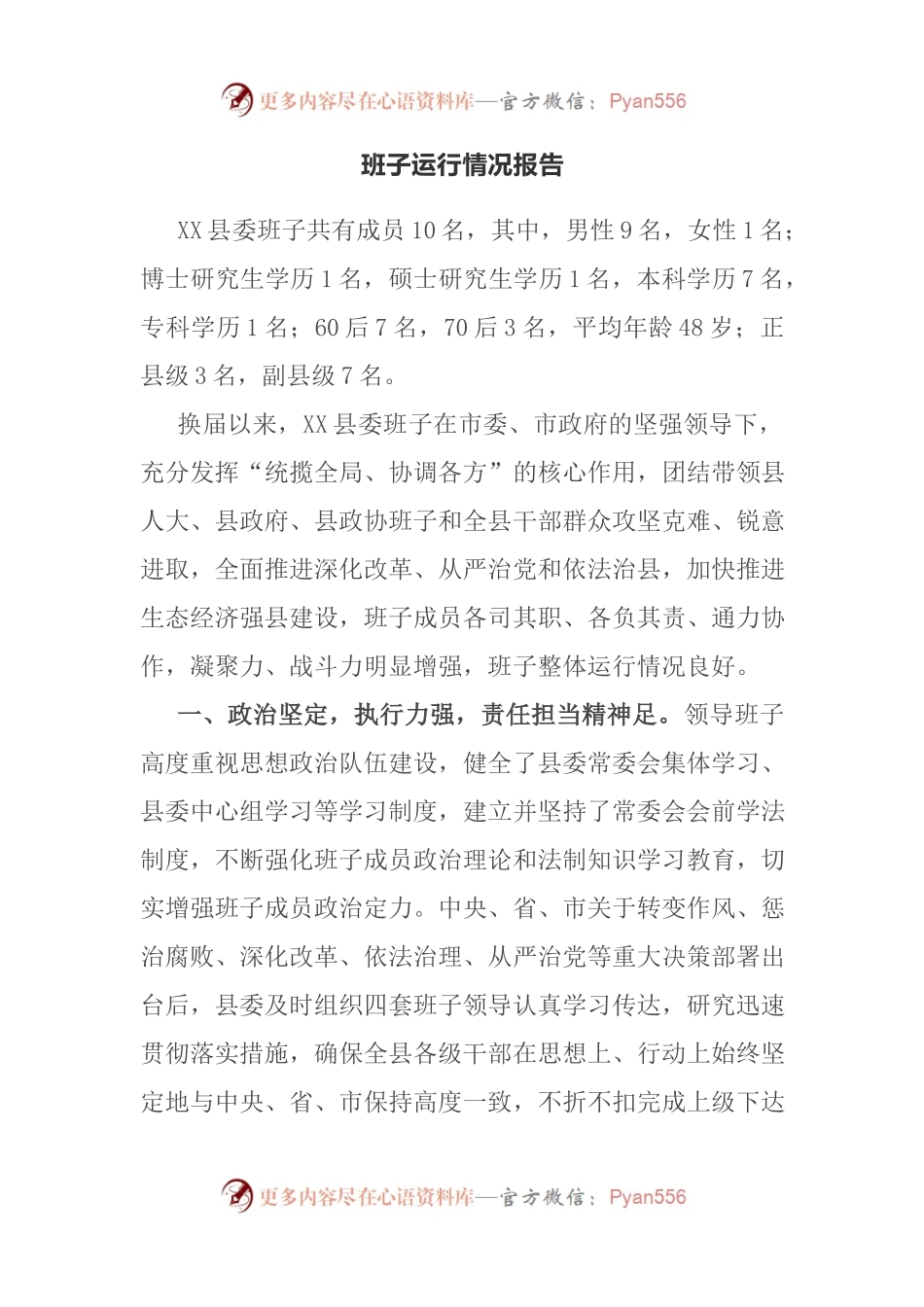 班子运行情况报告.docx_第1页