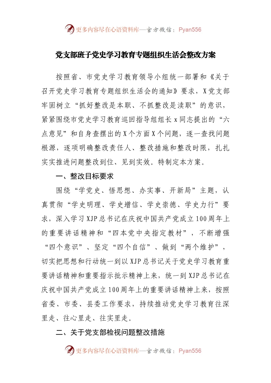 生活会62：支部班子专题组织生活会整改方案.docx_第1页