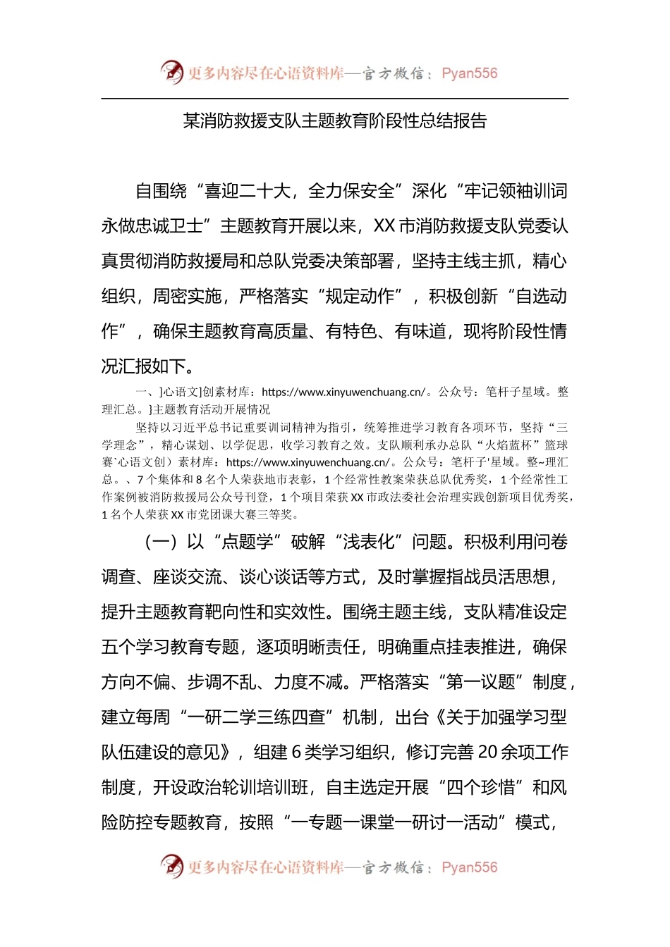 某消防救援支队主题教育阶段性总结报告.docx_第1页