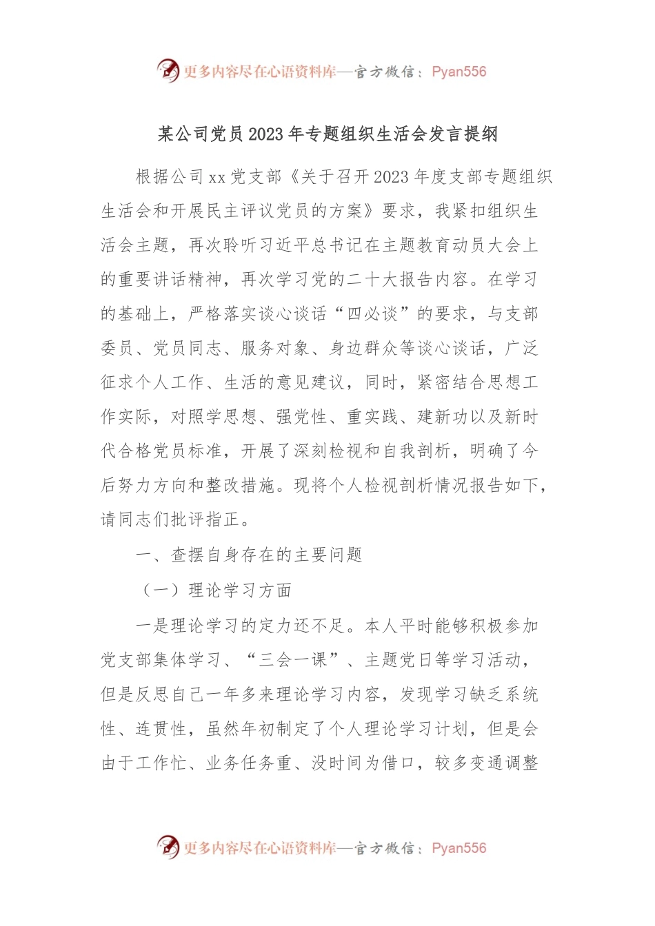 某公司党员2023年专题组织生活会发言稿提纲.docx_第1页