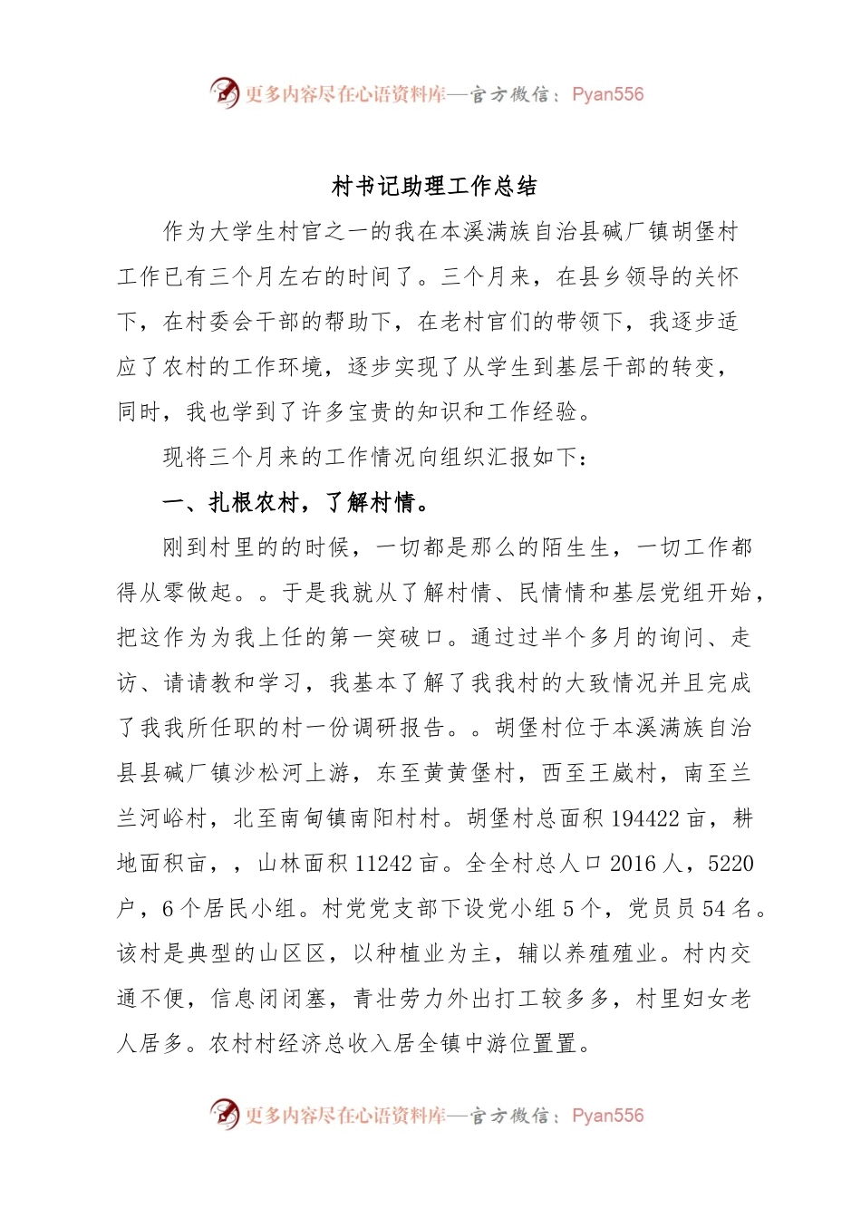 村书记助理工作总结.docx_第1页