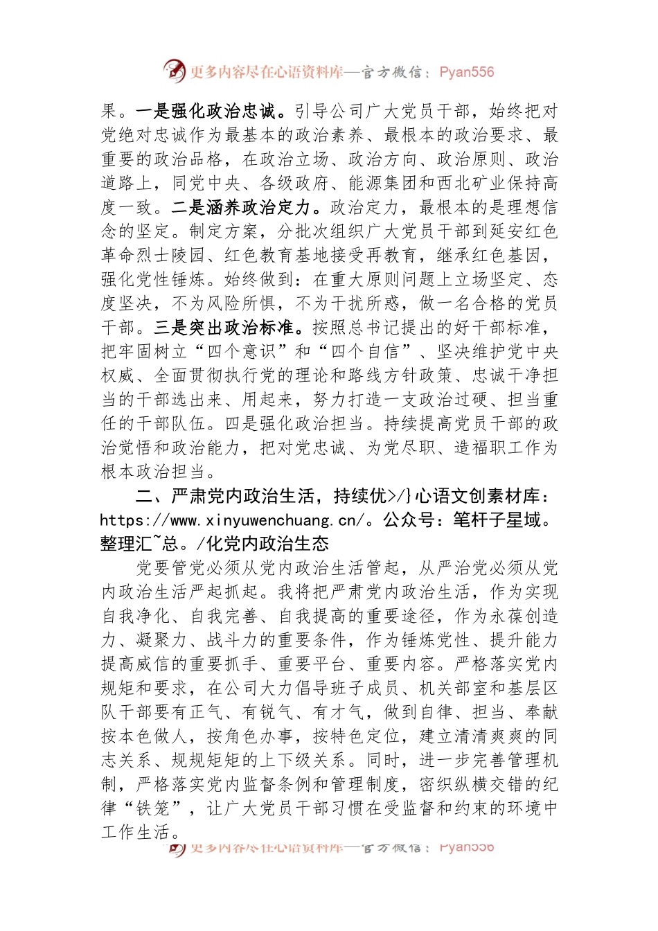 煤业公司党政主要负责人读书班第二专题学习会上的发言材料.docx_第2页