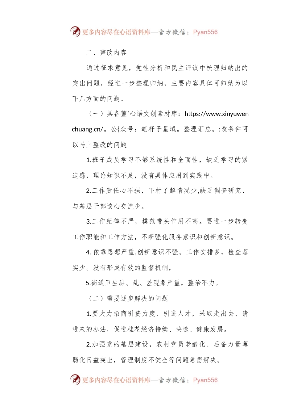 民主生活会各套领导班子整改方案2.docx_第2页