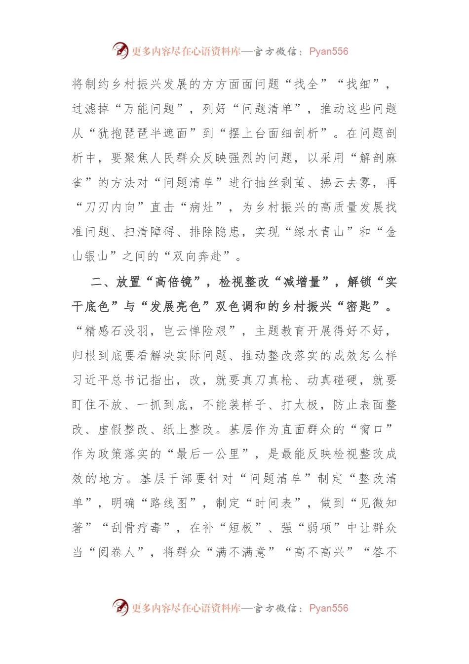 某街道党员干部主题教育研讨材料：藏于“整改之履”的乡村振兴“密匙”.docx_第2页