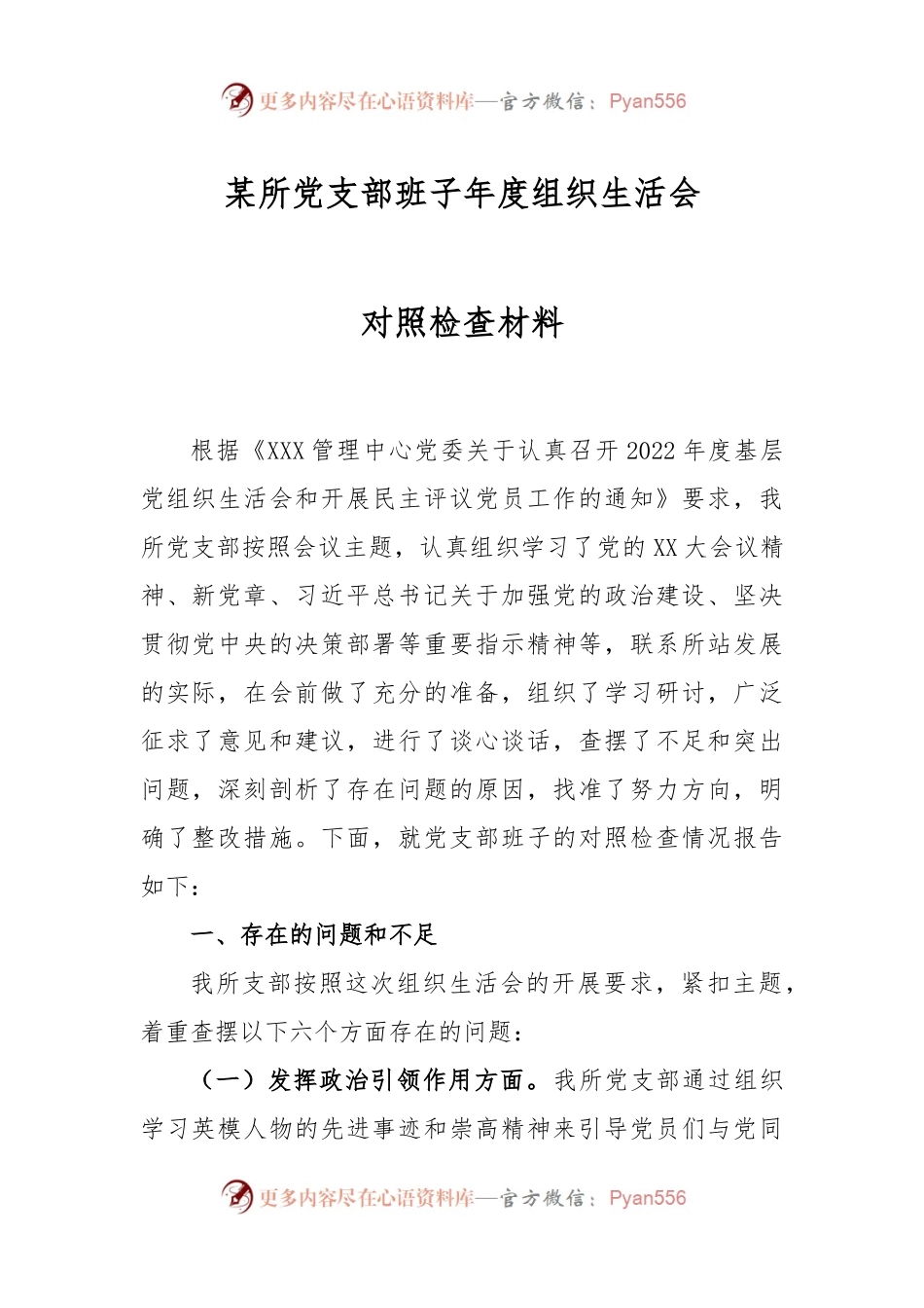 某所党支部班子年度组织生活会对照检查材料.docx_第1页