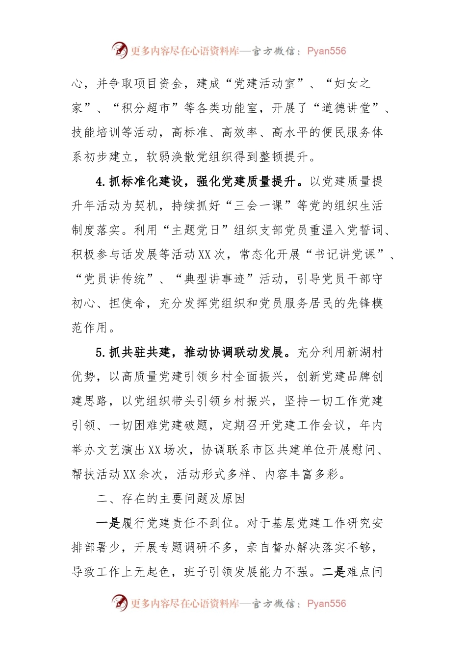 村党支部书记抓党建述职报告.docx_第2页
