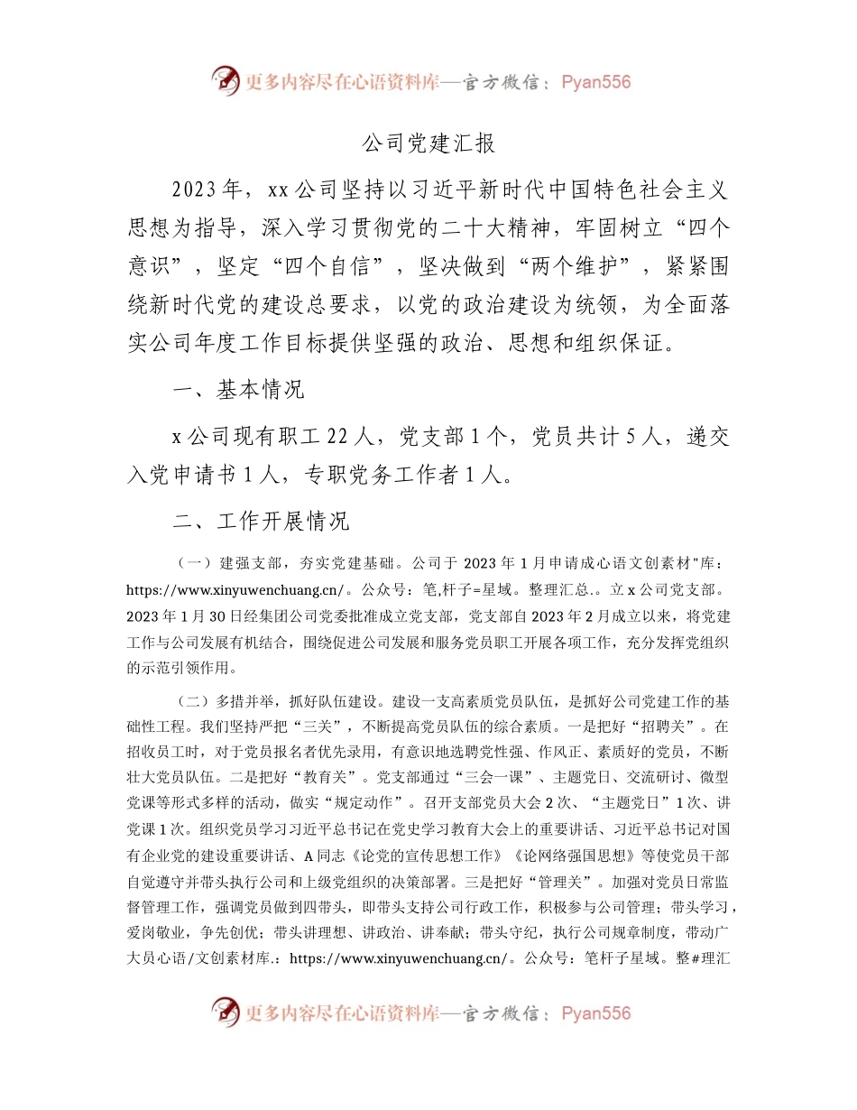 新成立国企支部党建工作总结汇报1300字.docx_第1页