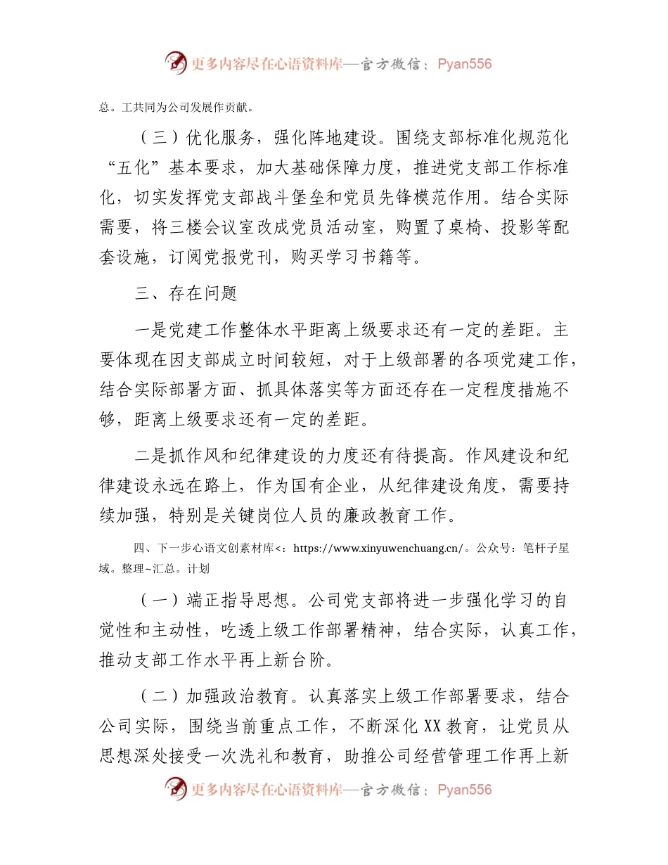 新成立国企支部党建工作总结汇报1300字.docx_第2页