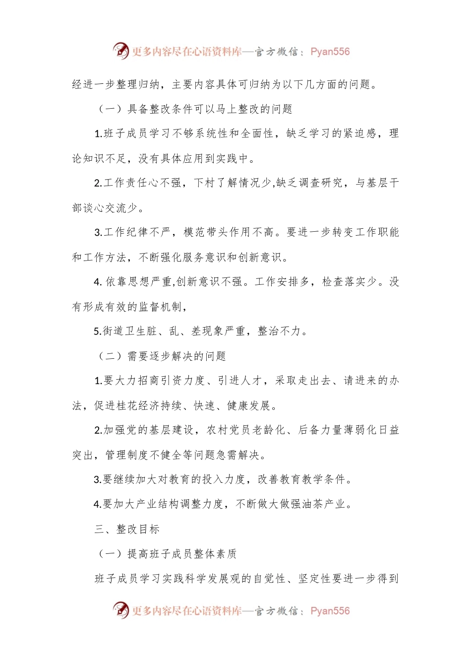 民主生活会各套领导班子整改方案.docx_第2页