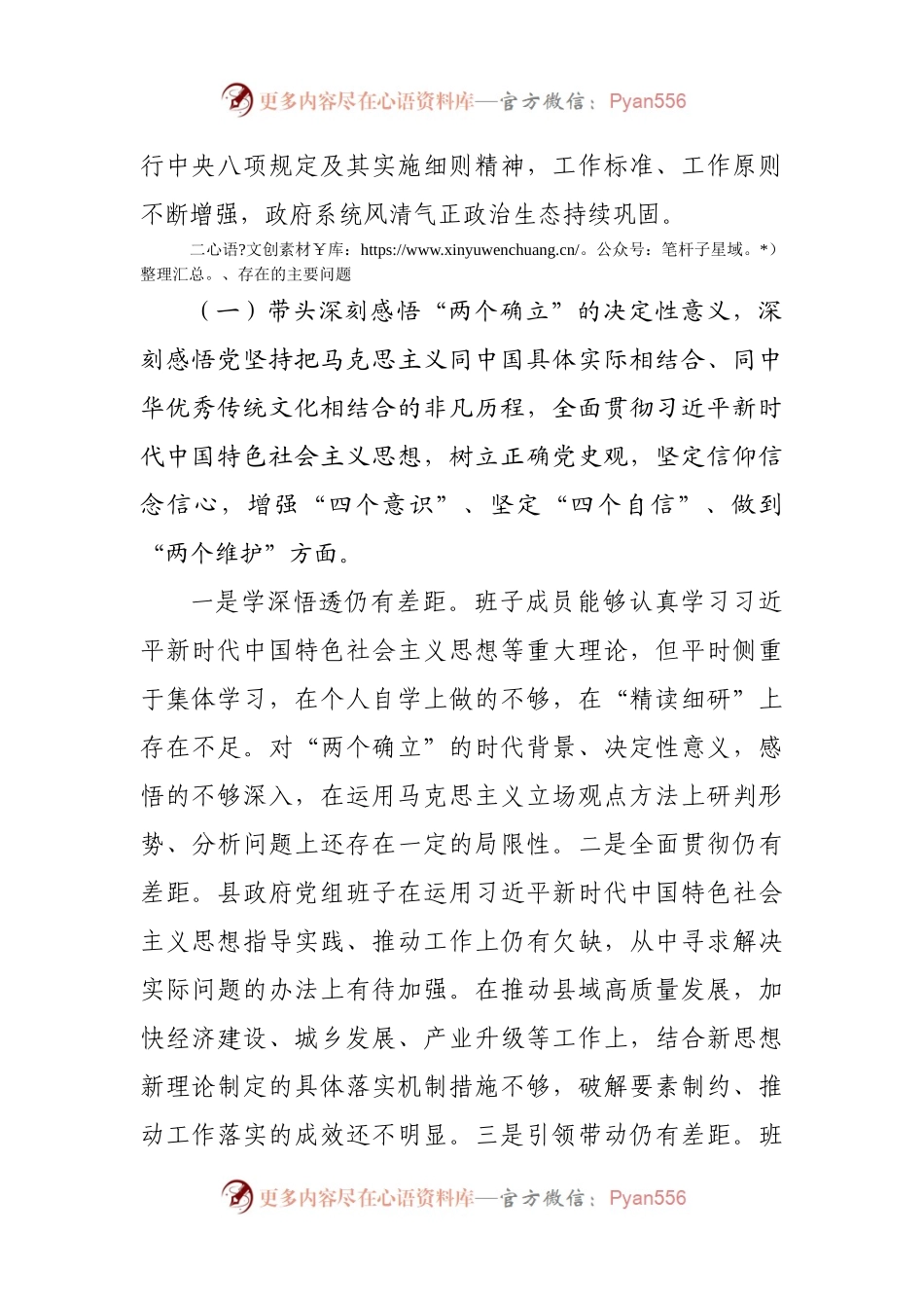班子2021年度专题民主生活会对照检查材料（县府）.docx_第2页