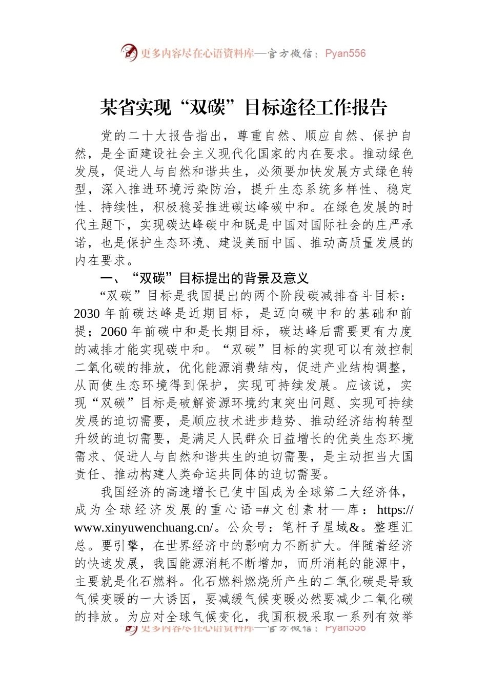 某省实现“双碳”目标途径工作报告.docx_第1页