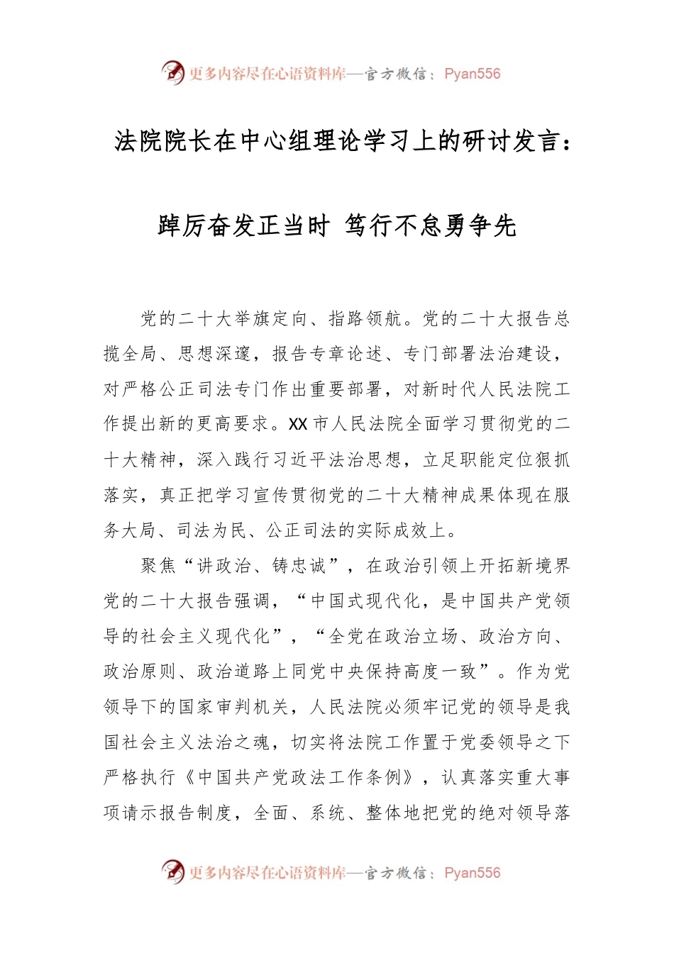 法院院长在中心组理论学习上的研讨发言：踔厉奋发正当时 笃行不怠勇争先.docx_第1页